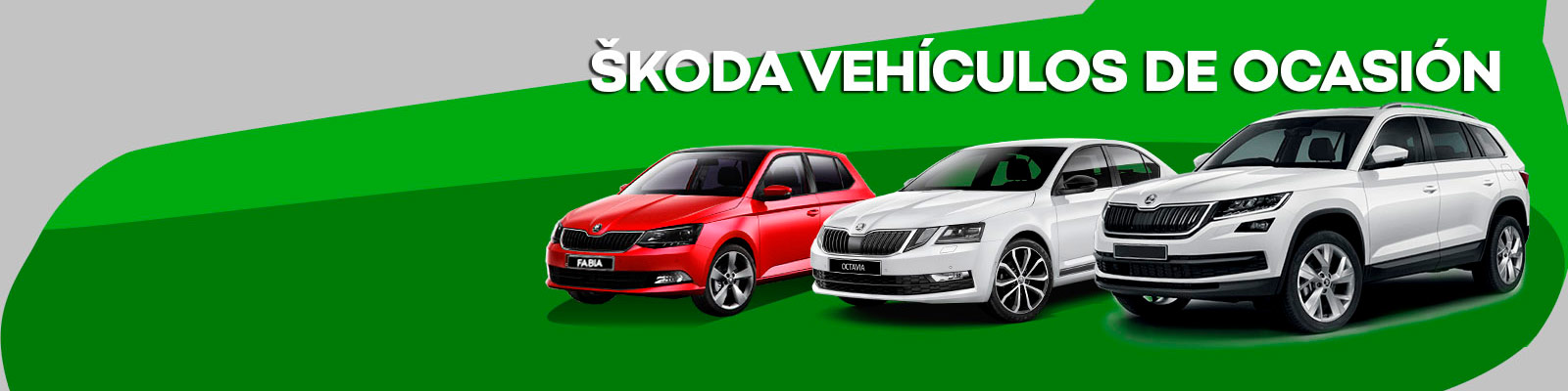 Localiza tu Vehículo de Ocasión Skoda